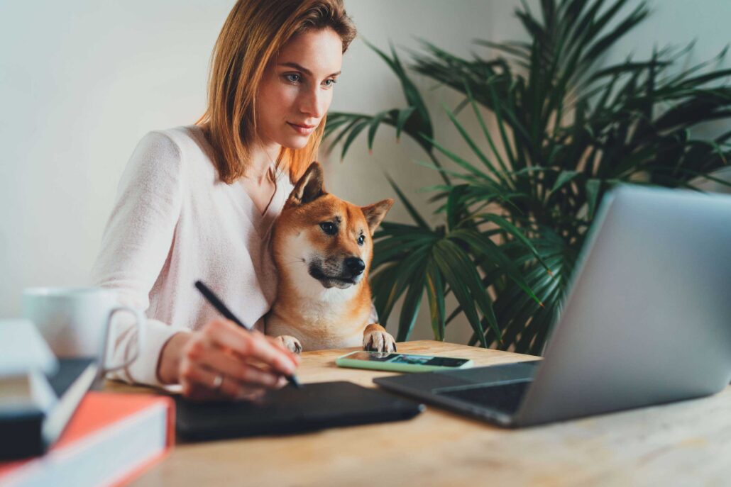 Bürohund